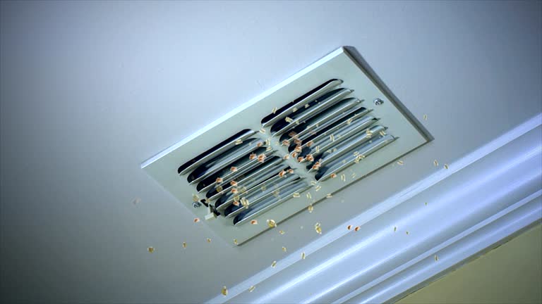 Best HVAC Air Duct Cleaning  in Livingston, TN