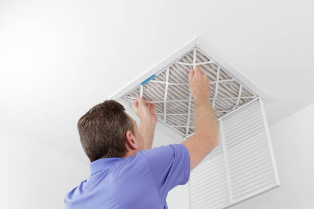 Best Local Air Duct Cleaning Services  in Livingston, TN